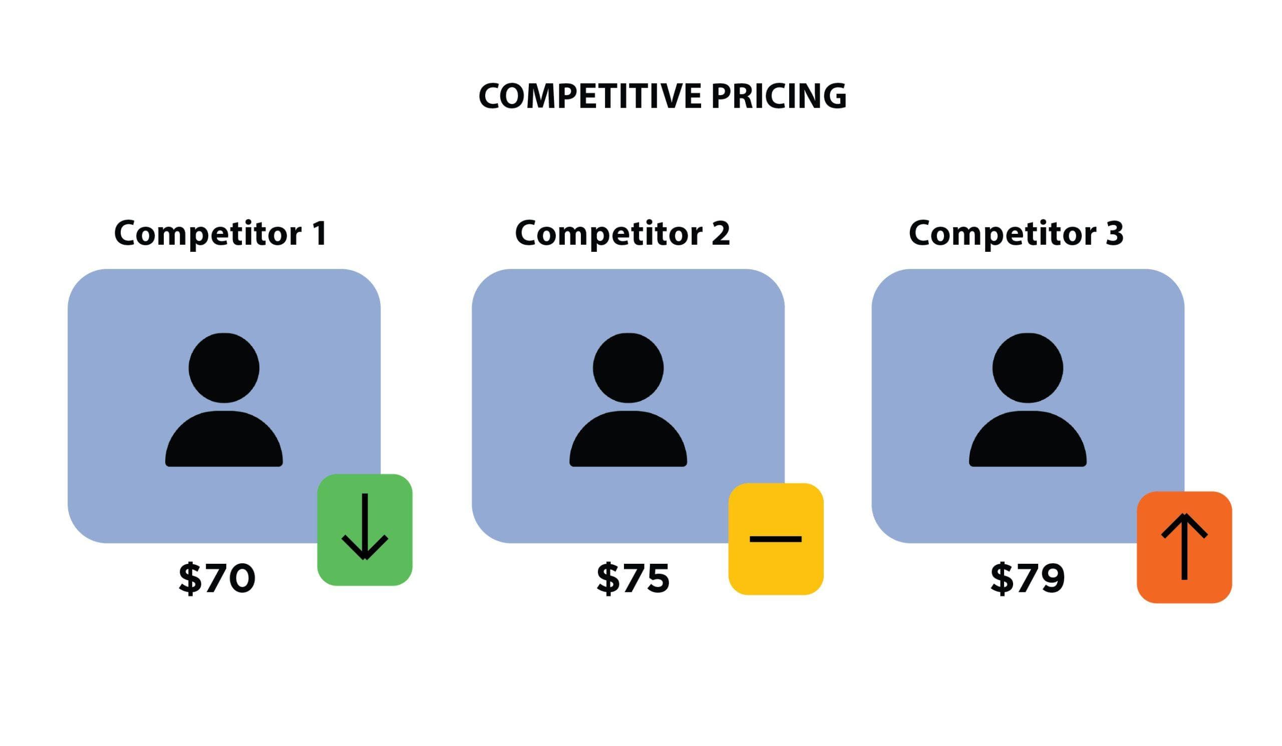 Pricing Strategy in a Competitive D2C Market